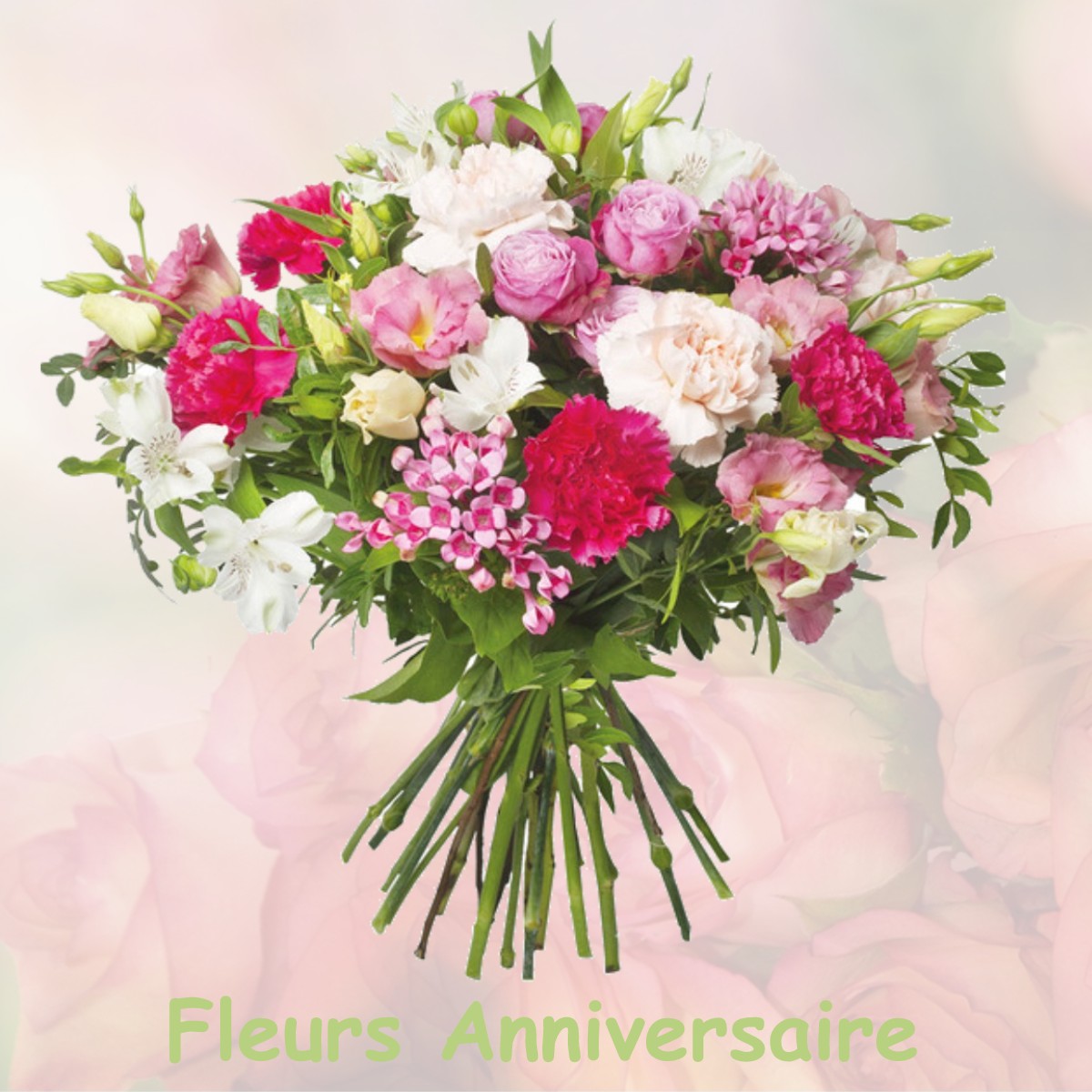 fleurs anniversaire MONTCARRA