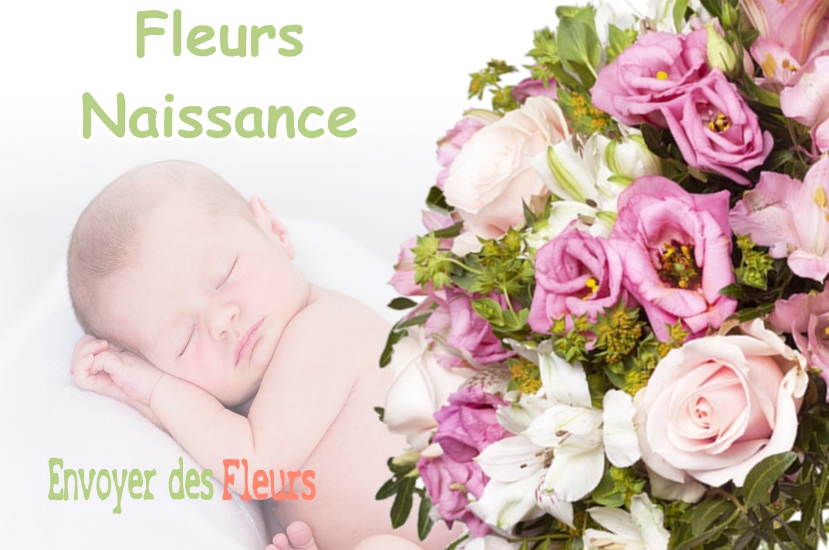 lIVRAISON FLEURS NAISSANCE à MONTCARRA